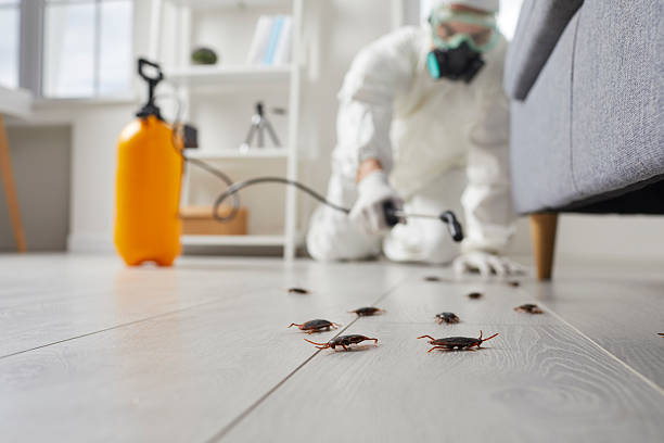 Commercial Kitchen Cockroach Control in Lake Wazeecha